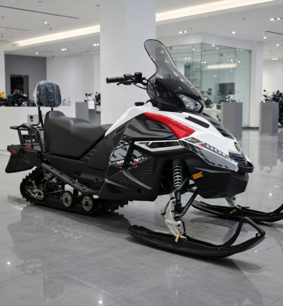 WOIDEAL 250CC
