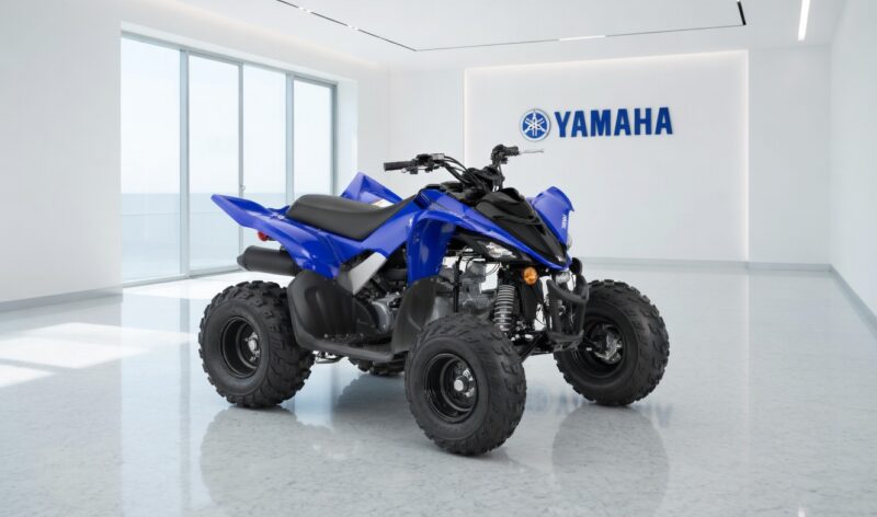 YAMAHA RAPTOR 100