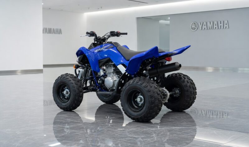 YAMAHA RAPTOR 100