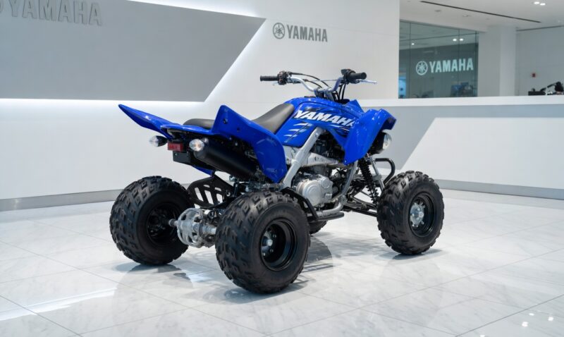 YAMAHA RAPTOR 700R