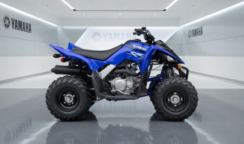 YAMAHA RAPTOR 100