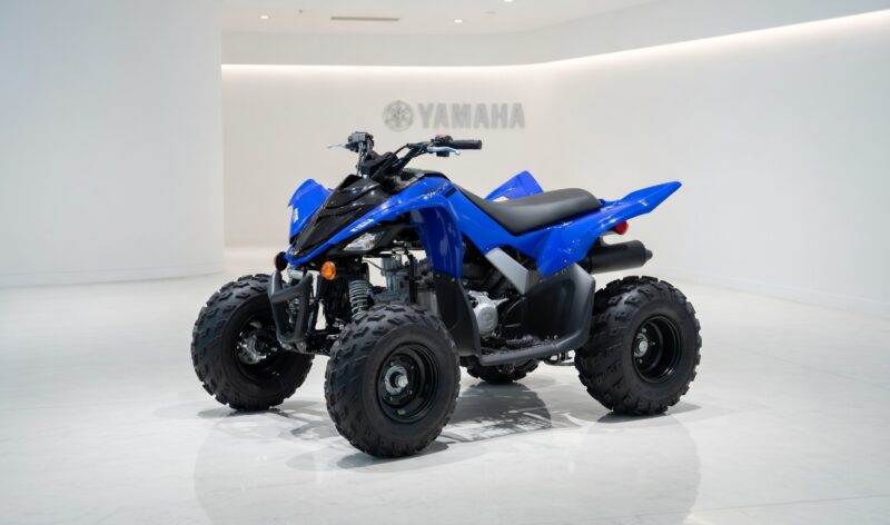 YAMAHA RAPTOR 100