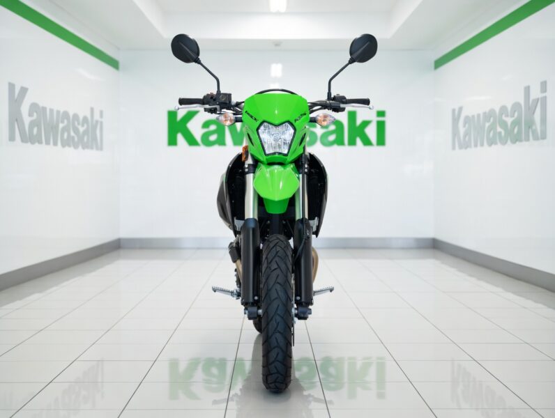Kawasaki KLX 230 SM
