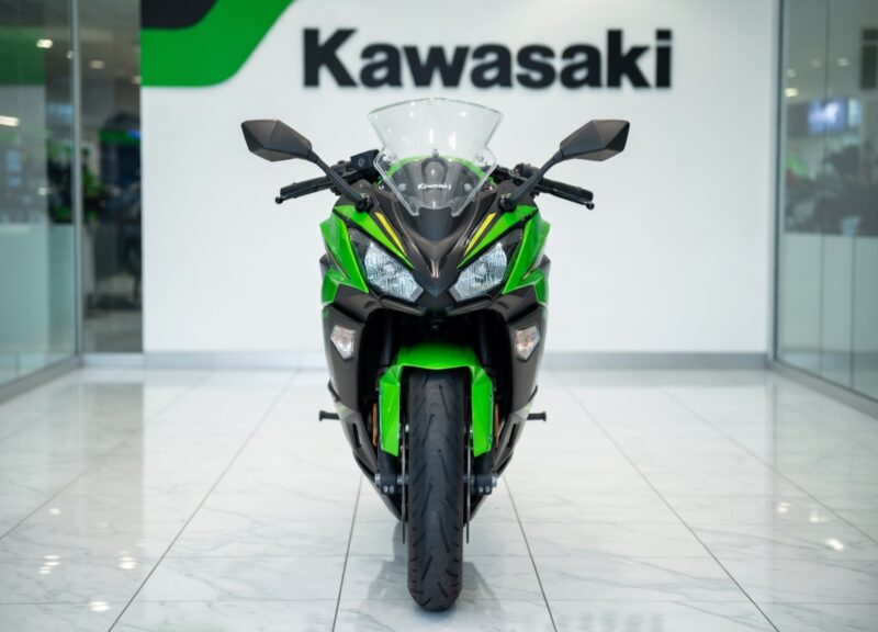 Kawasaki NINJA 1100 SX SE