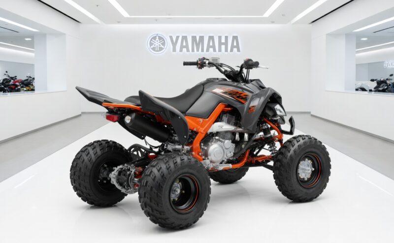 YAMAHA RAPTOR 700RSE